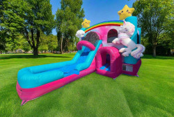 Image2051 1774049031 Enchanted Combo Wet/Dry